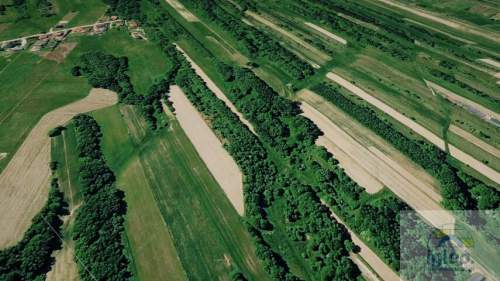 Działka 25000m2 - Masłów - Brzezinki - Inwestycyjna - Budowlana