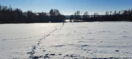 Piękna działka rolno-budowlana, Żminne, Parczew.