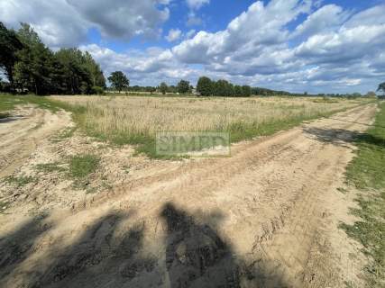 Działka blisko stawów, lasu, kanału rzecznego ,