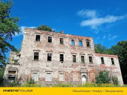 Ruiny Willi i Pałacu w Starej Kraśnicy 2,8 ha