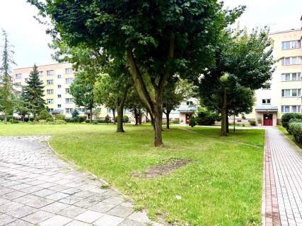 Spółdzielcze Własnościowe/2 pok. 42m2/ Ul. Szafera