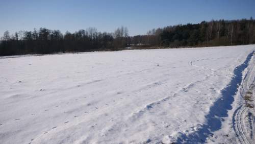 Piękna działka rolno-budowlana, Żminne, Parczew.