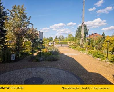 Dom z gotowym biznesem-plantacja borówki