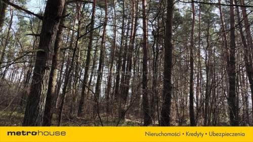 Na sprzedaż działki leśne - Żmijewo Ponki