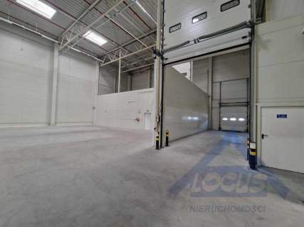 Magazyn wysokiego składowania 2500m2 Ołtarzew