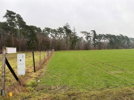 Działka 2162 m pod dom przy lesie WZ