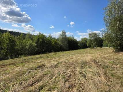 46 ARÓW W TUCHOWIE - BLISKO LASU, BLISKO MIASTA 