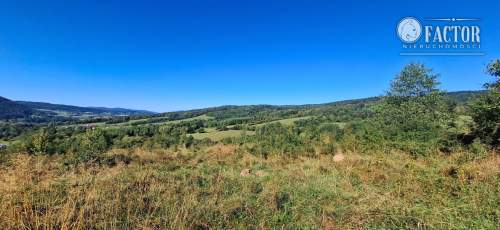 Łosie, działka budowlana 61,67 a, 1192S