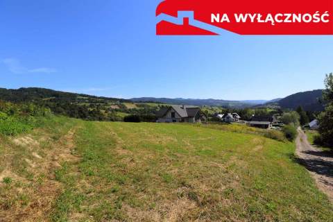 Działka z WZ 5291 m2 widok na Pieniny