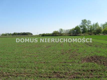 Działka w Tworzyjankach