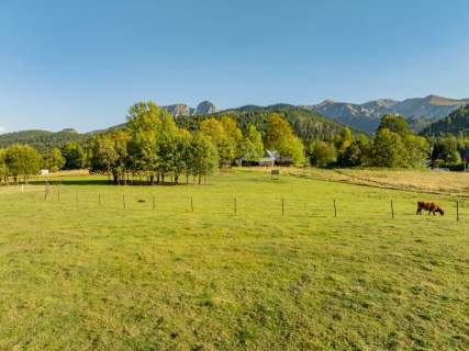 Działka rolna 3115 m Kościelisko