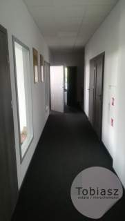Reprezentacyjne biuro klasy A/ 230 m2 / Czyżyny