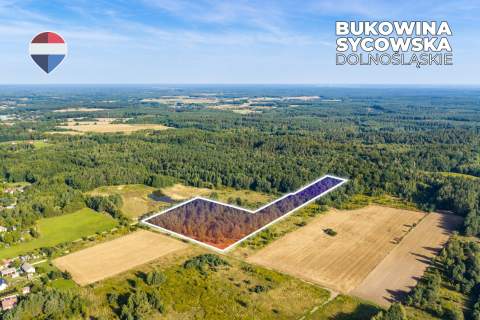 Działka leśna pow. 29.600 m , Bukowina Sycowska