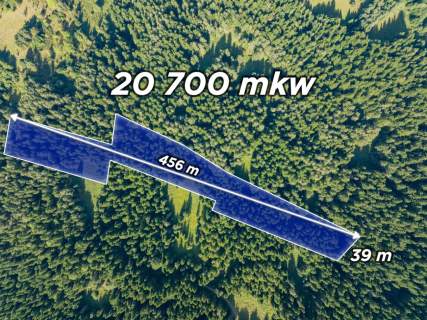 Działka leśna 20 700 m Kasina Wielka