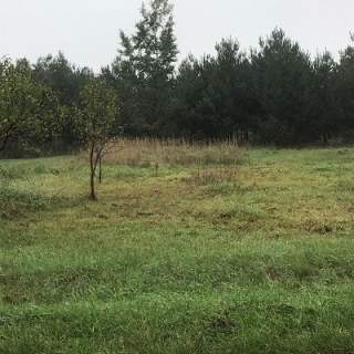 Działka rolna z war. zabud. o pow. 5200 m2, Rożdżały