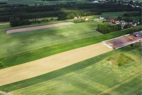 Teren inwestycyjny 9538 m2 z WZ - Borki Jędrzejów