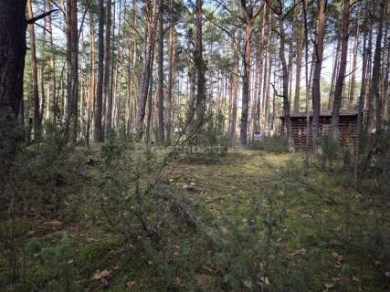 Działka leśna na sprzedaż, 2200 m2, Popowo-Letnisko