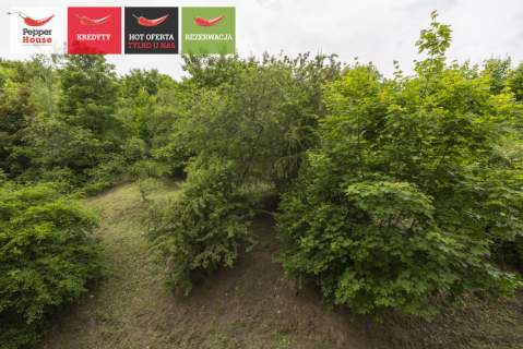 2 pokoje Orunia Blisko centrum Park Oruński