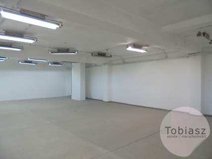 Magazyn/hala z rampą 229 m2
