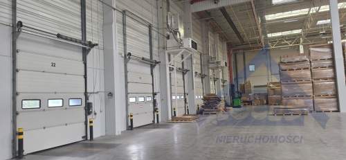 Magazyn Podnajem od 2000 do 5000 m2