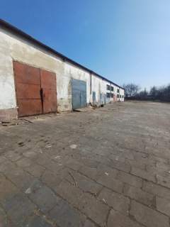 Lokal użytkowy na sprzedaż, 1200 m2, Włodawa
