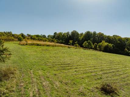 Działka rolno-leśna, 1,56 ha, Sadek, Jodłownik