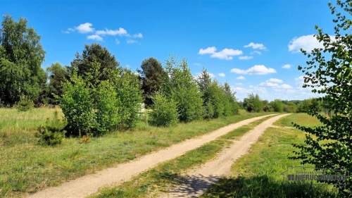 Działka budowlana nad pięknym jeziorem Dołgie.