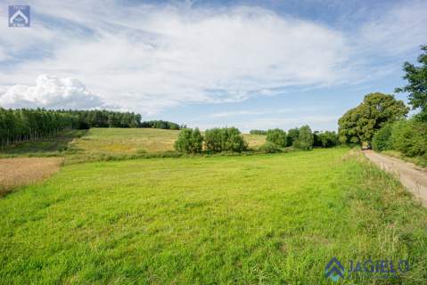 Działka rolna na sprzedaż, 4200 m2, Szczodrowo