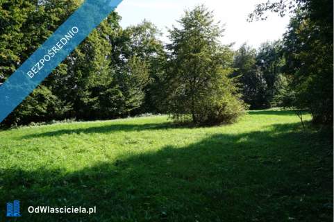  Unikatowy park pod Warszawą