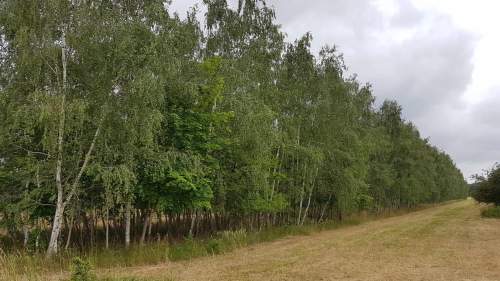 Działka budowlana 4000 m