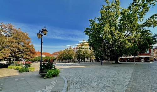 Piękny Apartament Dla SINGLA / Pary Przy Placu Zam