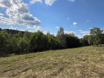 46 ARÓW W TUCHOWIE - BLISKO LASU, BLISKO MIASTA 