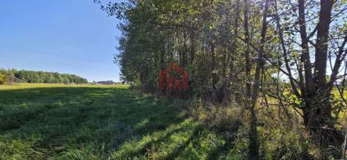 ul. Poręby, Pełne uzbrojenie, zielona okolica, WZ