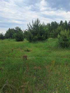 Działki budowlane w Planie ogólnym, 1040m2, Młynisko