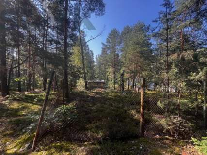 Leśna działka na Wydmach Międzyborowskich 2221 m2 - bez prowizji