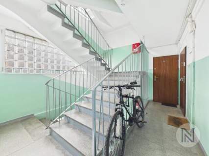 Kawalerka, 1-pok, 26 m2, balkon, widok, zwierzęta