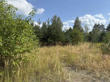 Działka budowlana na sprzedaż, 2793 m2, Ostrowina