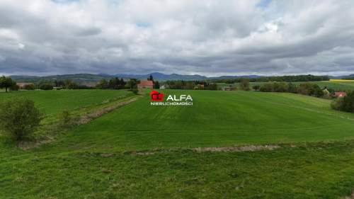 Działka budowlana na sprzedaż, 3000 m2, Modliszów