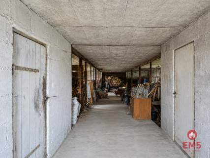 Siedlisko 0,6 ha, gm. Brańsk
