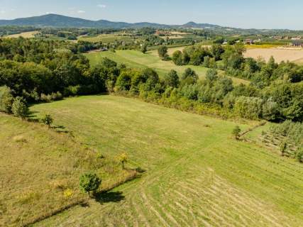Działka rolno-leśna, 1,56 ha, Sadek, Jodłownik