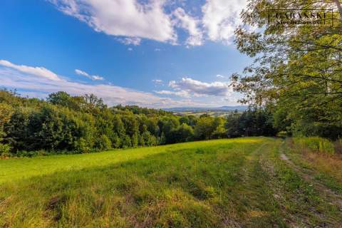 DREWNIANY DOM PO GRUNTOWNYM REMONCIE NA 1,35 HA -