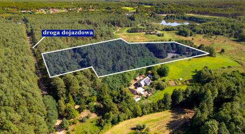 Teren 3,5ha w sercu Puszczy Noteckiej Prywatny las