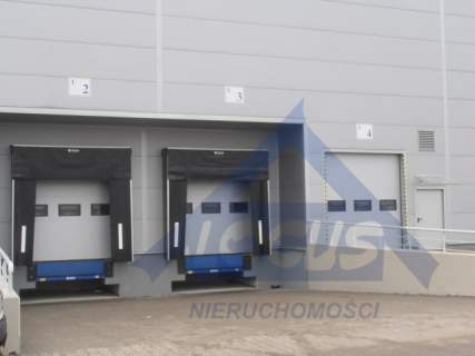 Magazyn z biurem 3805 m2 Włochy