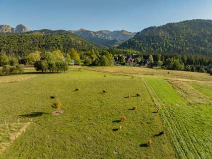 Działka rolna 3115 m Kościelisko