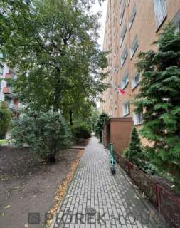 2-pokojowe mieszkanie na Woli