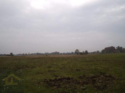 Działka w Całowaniu