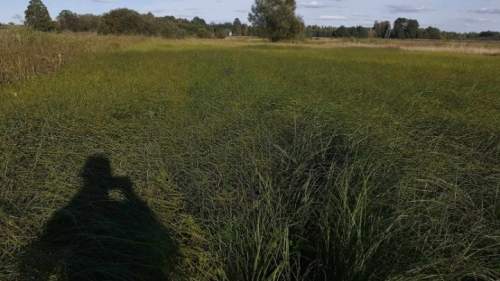 Działka z linią brzegową- kamper, przyczepa,namiot