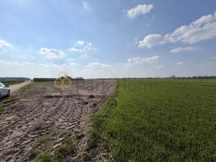 Grunt rolny/leśny 1,26 ha - Rawicz, Szymanowo