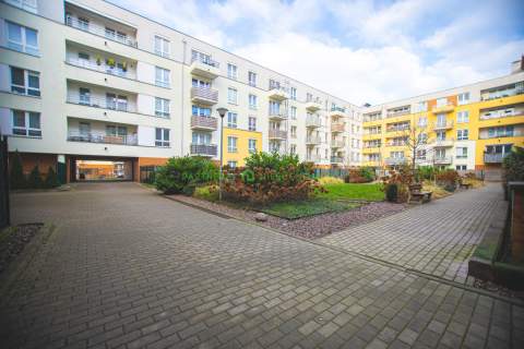 Gumieńce, 3 pokoje, 64m2 na wynajem