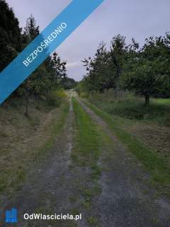 Wyjątkowe siedlisko 1,2 ha blisko Tuszyna-Lasu 2 domy, ogromny...
